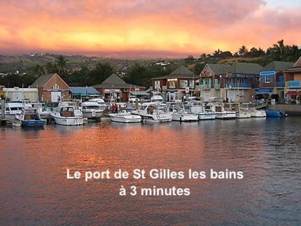 Prana Lodge Saint Gilles Les Bains 800 M De La Plage エクステリア 写真